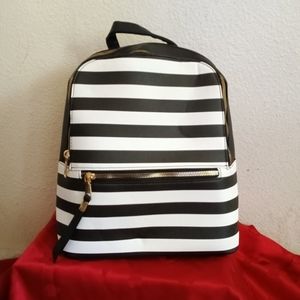 3 compartment Stripped Backpack